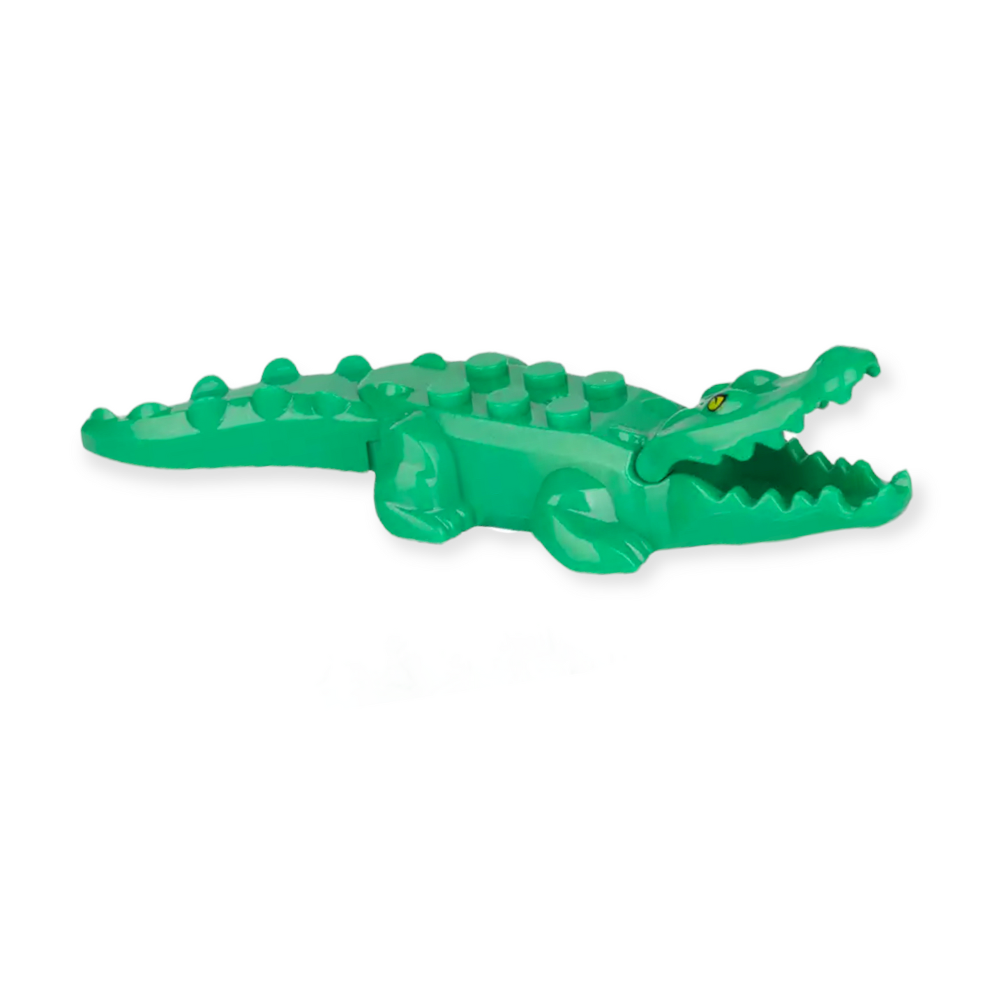 Krokodil in Grün