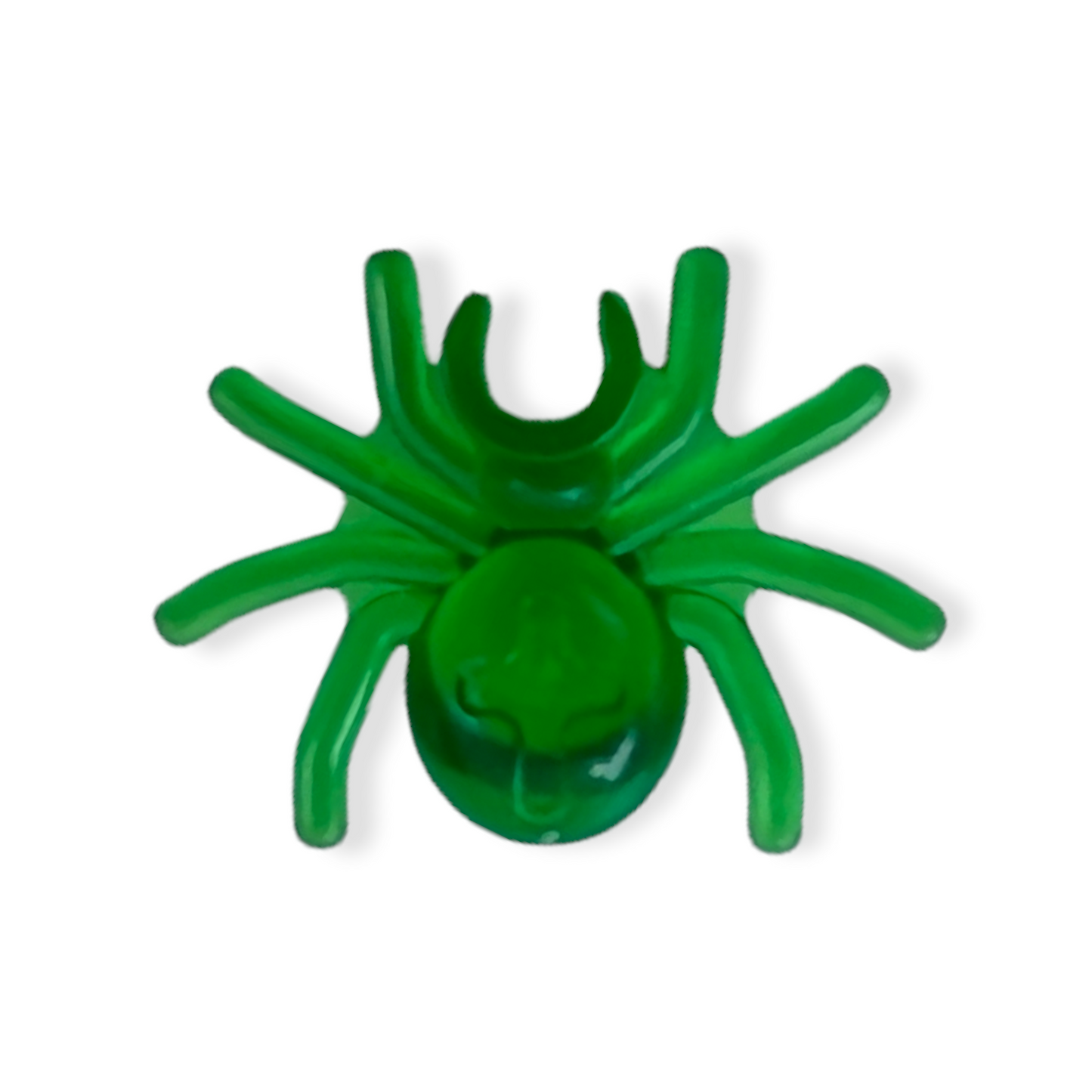 Spinne in Trans-Green