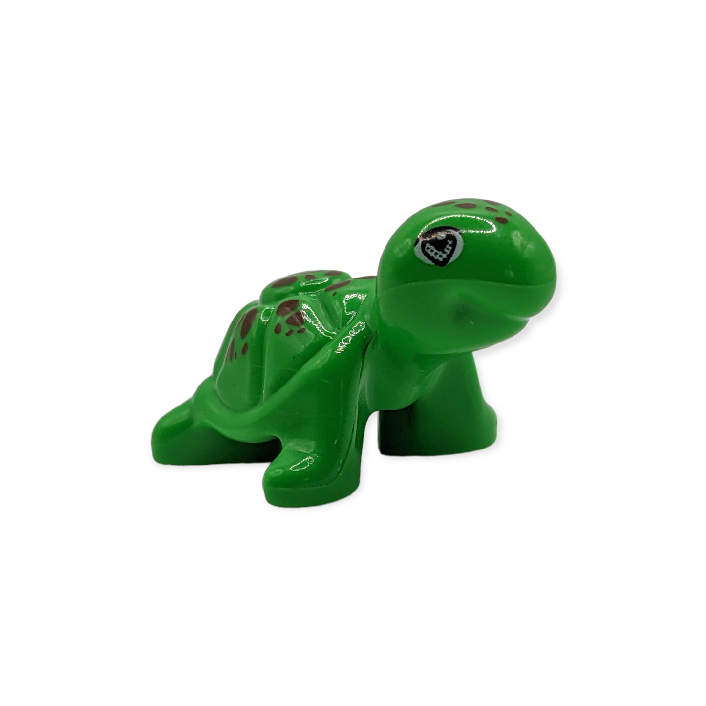 Kleine Schildkröte in Grün